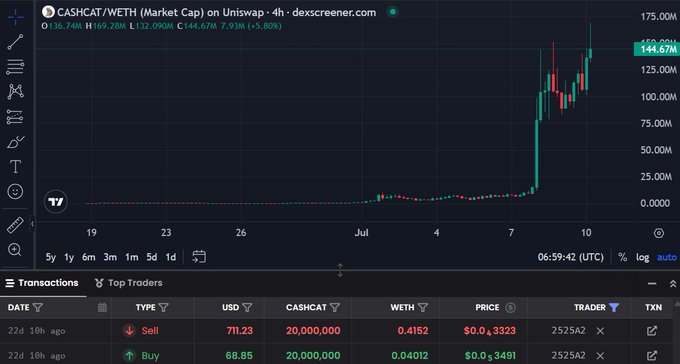 A TradingView chart showing CASHCAT/WETH on Uniswap displaying a dramatic price surge from near $0 to $144.67M, with transaction history below revealing trader 2525A2 buying 20M CASH for $68 then selling for $711—illustrating the post's point about missing generational wealth as the meme coin value skyrocketed.