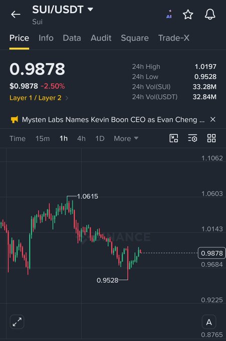 Binance cryptocurrency trading interface showing SUI/USDT pair at $0.9878, down 2.50%, with 24h high of 1.0197 and low of 0.9528.