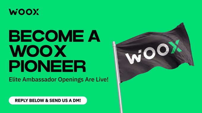 A promotional banner with a green background and a black flag displaying the WOO X logo, advertising "BECOME A WOOX PIONEER – Elite Ambassador Openings Are Live!" with a call-to-action button reading "REPLY BELOW & SEND US A DM!" The image visually reinforces the post's invitation to join the WOO X Pioneers Ambassador program by encouraging users to apply via reply or DM.