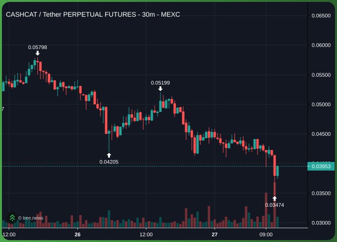 A 30-minute candlestick chart of CASHCAT/USDT perpetual futures on MEXC shows a sharp downtrend from $0.05798 to $0.03474, currently trading around $0.03953 with rising volume on recent declines, supporting the post's analysis of volatile meme coin price action despite continued capital inflows.