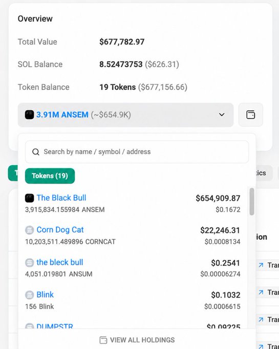 This cryptocurrency wallet shows holdings including 3.91M $ANSEM worth ~$654.9K and 10.2M $CORNCAT worth $22,246.31. This aligns with the post stating a whale spent $15K on $CORNCAT and that Ansem himself follows the $CORNCAT meme.