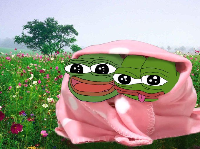 The image features two green frog faces, each with a pink blanket wrapped around them. One of the frogs has its tongue sticking out. The background shows a field filled with flowers, creating a whimsical and playful atmosphere. The caption reads "gm flynt lfg".
