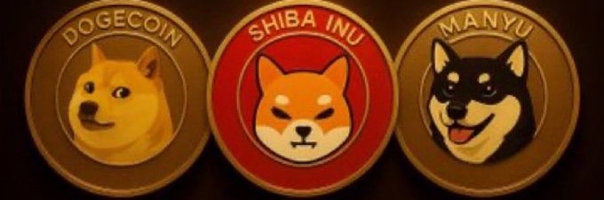Three illustrated crypto coins are displayed side by side, labeled "DOGECOIN" featuring a Shiba Inu dog, "SHIBA INU" featuring the Shiba dog on a red background, and "MANYU."
