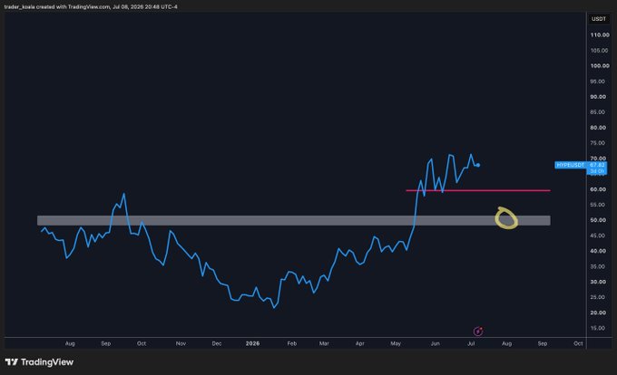A TradingView chart of $HYPE/USDT shows a sharp rally from ~$20 lows to ~$65 highs, with a horizontal support zone (highlighted by a yellow circle) around the $45–$55 area and a pink resistance line near $58, aligning with the post's plan to buy spot at this key support level and reassess if price closes weekly below $45.