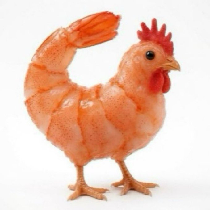 A plastic toy chicken figurine with an orange and white speckled body, red comb and wattle, is displayed against a white background. The whimsical image is used as a quirky visual to attract engagement for a Solana (SOL) giveaway, where users are encouraged to like, retweet, and drop their wallet addresses for a chance to win 0.5 SOL.