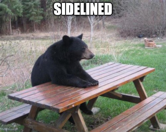 A meme showing a black bear sitting upright at a wooden picnic table outdoors, captioned 'SIDELINED' at the top.