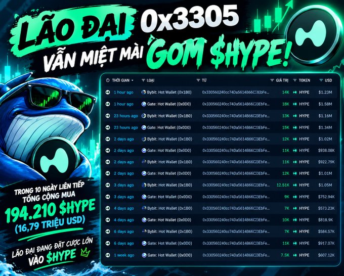 A Vietnamese promotional graphic featuring a cartoon whale in sunglasses alongside text 'LÃO ĐẠI 0x3305 VẪN MIỆT MÀI GOM $HYPE!' with a transaction table showing HYPE token buys totaling 194,210 tokens (16.79 TRIỆU USD) and 'LÃO ĐẠI ĐANG ĐẶT CƯỢC LỚN VÀO $HYPE'.