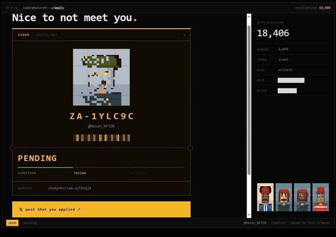 A dark-themed web interface titled 'Nice to not meet you.' for a 'ZADOR WHITELIST' showing a pixel character avatar, ID 'ZA-1YLC9C', and 'PENDING' application status, with '18,406' applications listed.