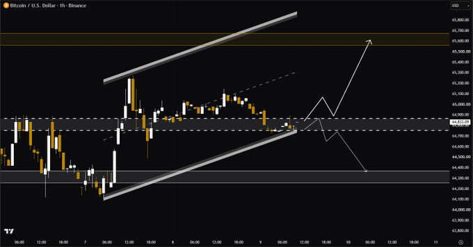 A candlestick chart of Bitcoin/U.S. Dollar (BTC/USD) on Binance's 1-hour timeframe shows price consolidating between approximately $64,200-$65,500 within an ascending channel, with a projected arrow indicating a potential move toward the $65,500-$66,000 resistance zone—aligning with the post's bullish squeeze thesis targeting $50M in liquidity sitting above current price.