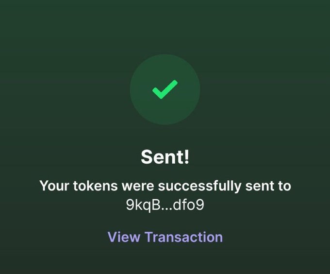A dark-themed confirmation screen with a green checkmark indicating 'Sent! Your tokens were successfully sent to 9kqB...dfo9,' with a 'View Transaction' link below.