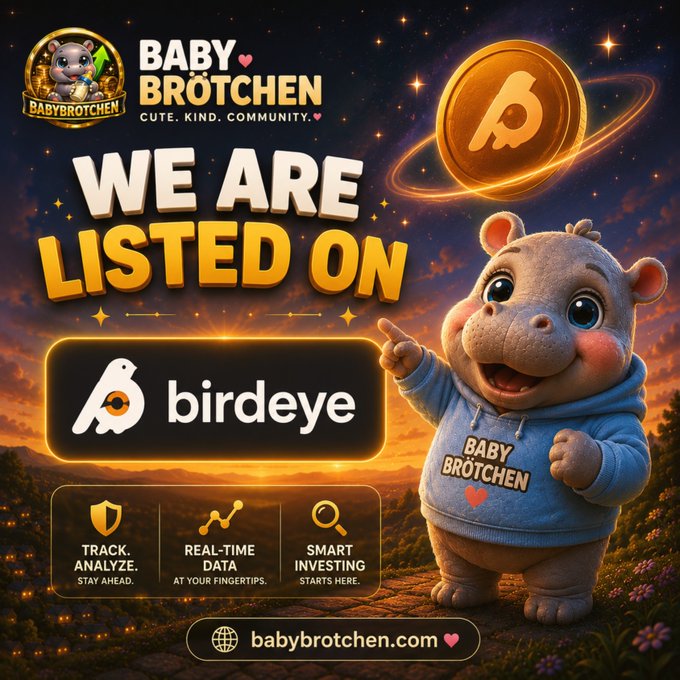 A promotional graphic for 'BABY BROTCHEN' announces 'WE ARE LISTED ON birdeye' next to an adorable baby hippo in a blue hoodie, promoting features like 'TRACK. ANALYZE.' and 'SMART INVESTING' with the website babybrotchen.com.