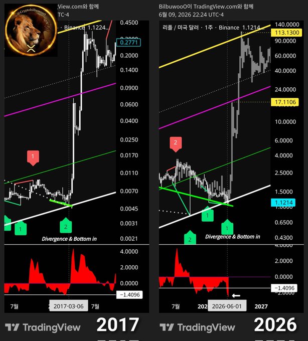 The image is a screenshot of a cryptocurrency trading dashboard showing two different charts, one with a black background featuring a lion's head on the top and an orange wave design next to it, while another chart has a white background depicting blue lines that are currently at 0.54 and appear to be moving downward from left to right. The first chart is titled "Lion Trading View" in Korean, while the second chart reads "Binance trading view". Both charts show a downward trend with the lion's head symbolizing a decrease in value.
