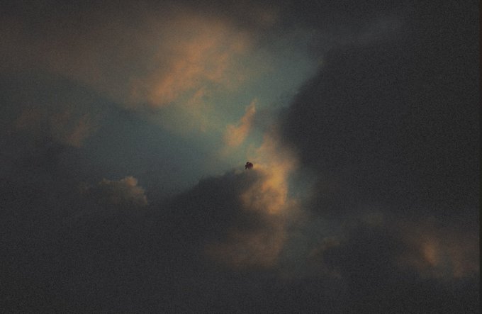 A moody sky photograph showing dark clouds with patches illuminated by warm golden light, and a small silhouette of a bird flying through the center.