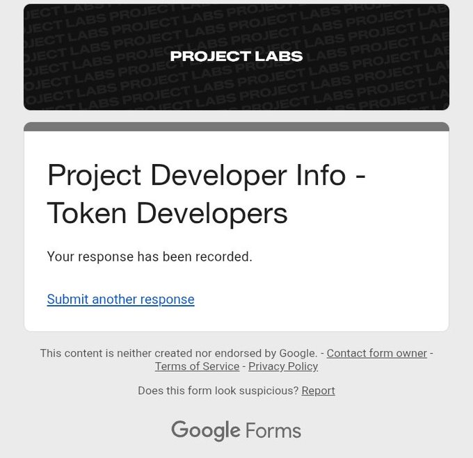 A screenshot of a Google Forms submission confirmation page titled 'Project Developer Info - Token Developers' from PROJECT LABS, displaying 'Your response has been recorded.'