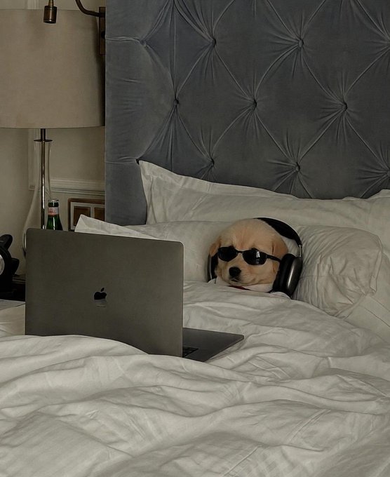 A dog wearing sunglasses and headphones lies in bed behind an open Apple laptop, appearing to watch or listen intently. The image humorously suggests a brain-computer interface trading scenario, with the pup serving as the tech-savvy, hands-free trader embodying the bullish "just use your mind" stock market vision.