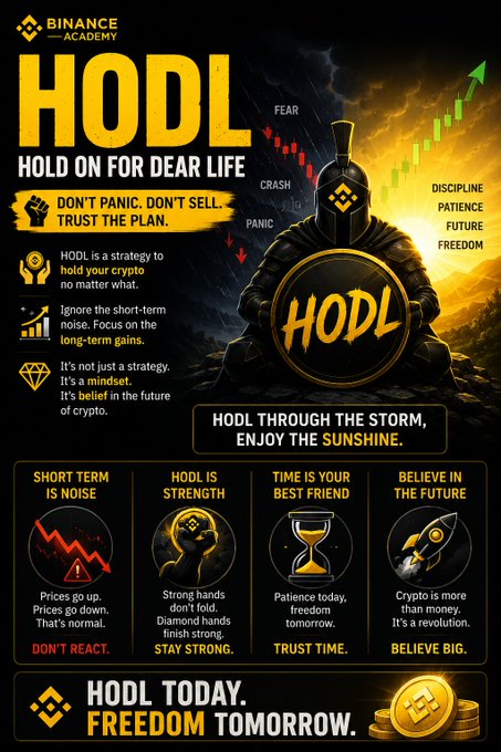 A Binance Academy promotional infographic titled "HODL: HOLD ON FOR DEAR LIFE," featuring a Spartan warrior and motivational crypto investment messaging about patience and long-term holding.