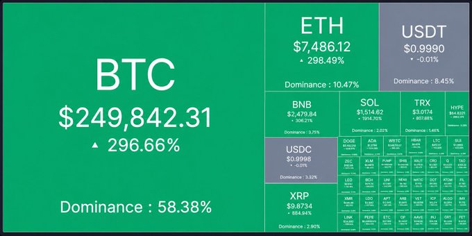 A cryptocurrency market dashboard displaying BTC at $249,842.31 (+296.66%, 58.38% dominance), along with prices for ETH, USDT, BNB, SOL, TRX, USDC, and XRP.