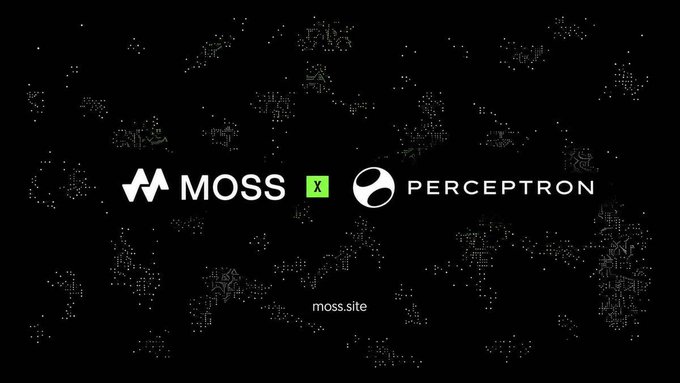 A promotional graphic on a dark background announcing a collaboration between 'MOSS' and 'PERCEPTRON' with the URL moss.site.