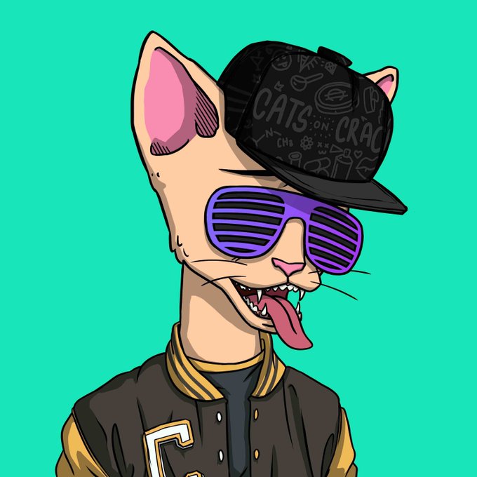 A cartoon illustration of a hairless cat wearing purple shutter shades and a black cap with "CATS ON CRAC" text, sticking its tongue out in a playful pose that fits the meme-inspired giveaway post offering a NFT prize for dropping Solana wallets.