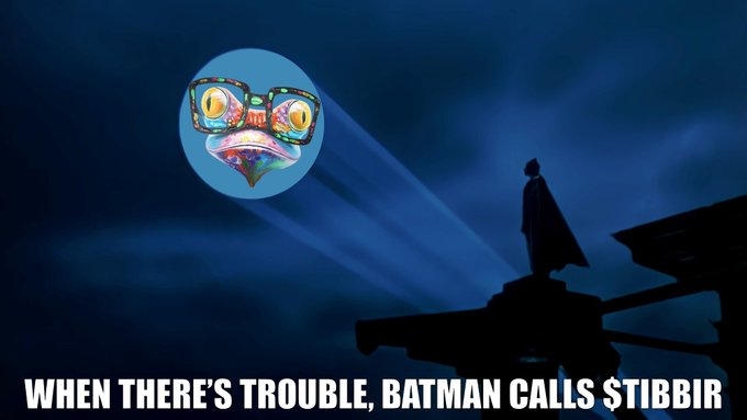 A meme showing Batman's silhouette projecting a signal with the Stibbir (Hollow Knight) mask instead of the Bat-signal, captioned 'WHEN THERE'S TROUBLE, BATMAN CALLS STIBBIR'.