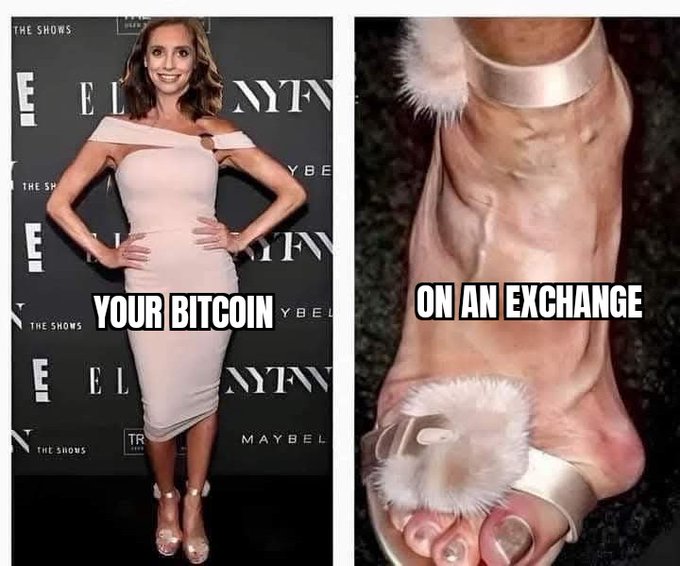 A meme split image showing a woman in a pink off-shoulder dress labeled 'YOUR BITCOIN' on the left and a foot in a sandal with bulging veins labeled 'ON AN EXCHANGE' on the right.