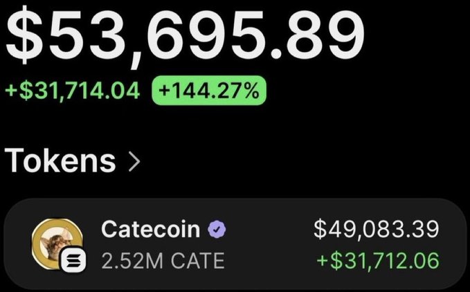 A screenshot of a crypto portfolio showing a $53,695.89 total balance (+144.27%) with the majority held in Catecoin (CATE), displaying 2.52M CATE tokens valued at $49,083.39 and a +$31,712.06 gain, illustrating the post's claim of turning a $1,000 investment into massive profits.