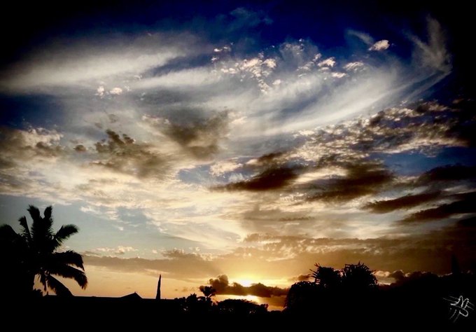 A sunset landscape featuring a silhouette of a palm tree and structures against a sky filled with sweeping, textured clouds.