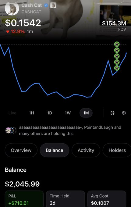 A screenshot of a cryptocurrency tracker app showing a token named 'Cash Cat' ($CASHCAT) priced at $0.1542 with a 12.9% increase, showing a portfolio balance of $2,045.99 and a P&L of +$710.61.