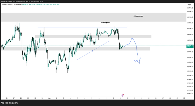 A TradingView chart showing Bitcoin (BTC/USDT) on a 1h timeframe with annotations including 'rounding top', a '4h Resistance' zone around $46,500, and a blue arrow pointing downward from the current price near $44,610.