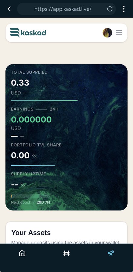 The image shows a phone screen displaying information about a cryptocurrency called Kaspad. The screen has a green background with white text, providing details about the app's features and its compatibility with different devices such as smartphones and tablets. The post suggests that if you're interested in using Kaspad for DeFi trading or managing your assets on your smartphone, Kastle Wallet is an easy-to-use option to consider.