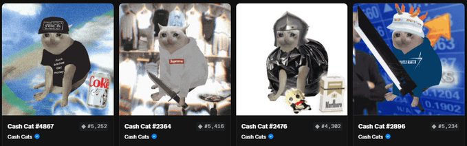 A horizontal row of four NFT-style cat memes labeled 'Cash Cat' with prices '¥5,252,' '¥5,418,' '¥5,302,' and '¥5,234,' each showing a cat in different scenarios and outfits.