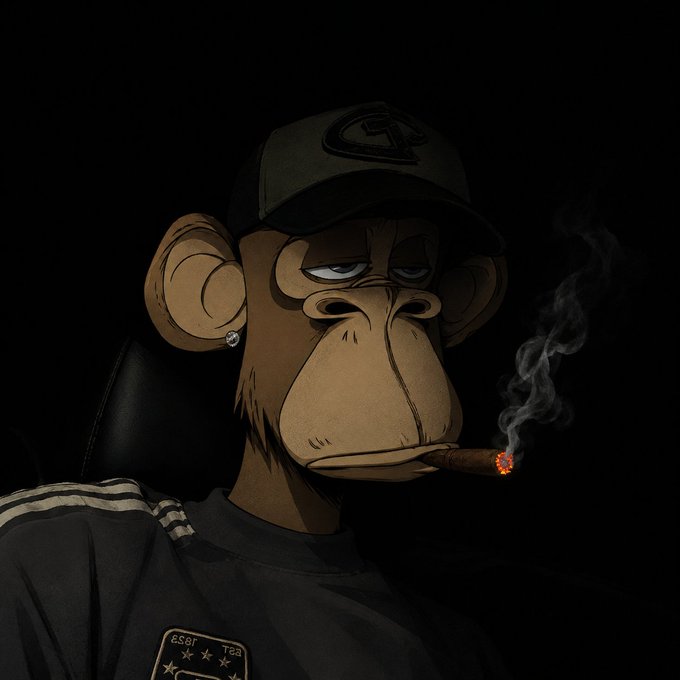 A digital illustration of a Bored Ape-style cartoon character wearing a dark cap and Adidas jacket, smoking a cigar against a black background.
