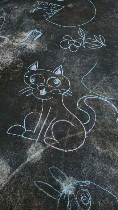 Chalk drawings on dark pavement depict a smiling cat with swirling eyes and a small pink tongue, along with flowers and other doodles.