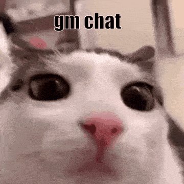 The image features a cat with its eyes wide open, looking directly at the camera. The text "gm chat" is written above the cat's head, while the phrase "One more day closer to the weekend one more day to stay onchain" is below the cat's face. This combination of text and image creates an interesting juxtaposition between the cat's curious gaze and the message about time passing.