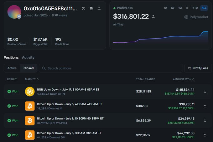 Polymarket trading profile screenshot for user '0xa01c0A5E4F8c111...' showing an all-time profit/loss of $316,801.22, with closed winning positions including BNB and Bitcoin Up or Down prediction markets.