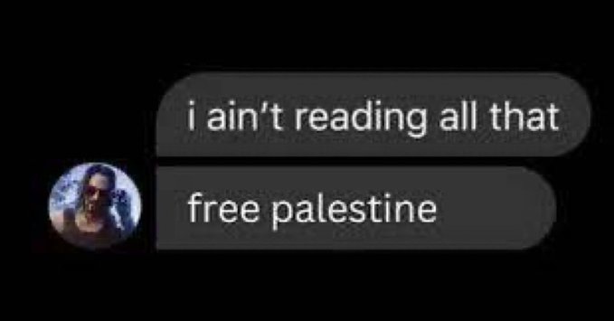A screenshot of a social media post with a profile picture of a person with long hair, displaying the texts "i ain't reading all that" and "free palestine" in separate message bubbles.