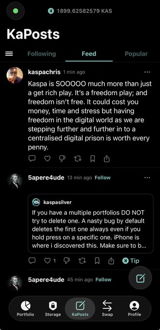 A screenshot of the KaPosts feed on the Kaspa app shows a post by "kaspachris" stating "Kaspa is SOOOOOO much more than just a get rich play" along with a reply from "5apere4ude" about a portfolio deletion bug.