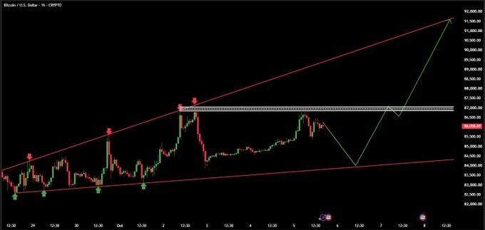 A Bitcoin (BTC/USD) hourly chart displays price action contained within a rising channel, with red trendlines connecting key swing points and arrows highlighting critical support and resistance levels near $84,000 and $87,000, illustrating the post's commentary on a potential flush toward the lower channel boundary.