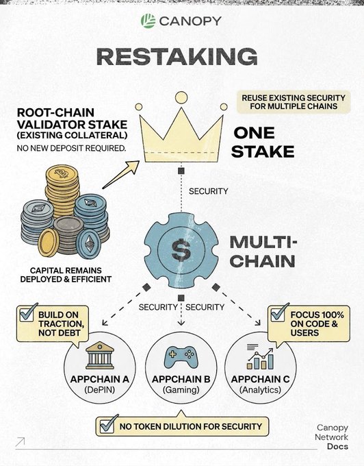 An infographic titled 'RESTAKING' by Canopy explaining how one root-chain validator stake can be reused for security across multiple appchains (DePIN, Gaming, Analytics) without new deposits or token dilution.