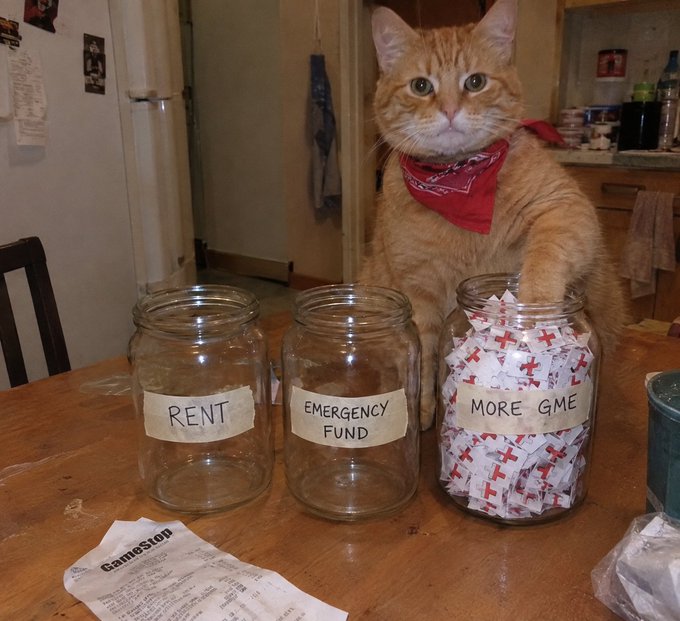 An orange tabby cat wearing a red bandana sits on a table reaching its paw into a glass jar labeled 'MORE GME' filled with small papers, alongside empty jars labeled 'RENT' and 'EMERGENCY FUND', with a GameStop receipt visible in the foreground.