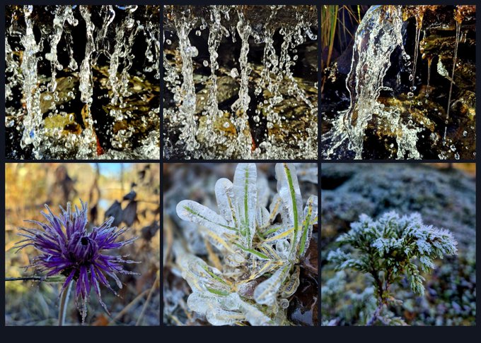 A collage of six nature photographs arranged in two rows, showing water splashes/droplets in the top row and frost-covered or frozen plants and a purple thistle in the bottom row.