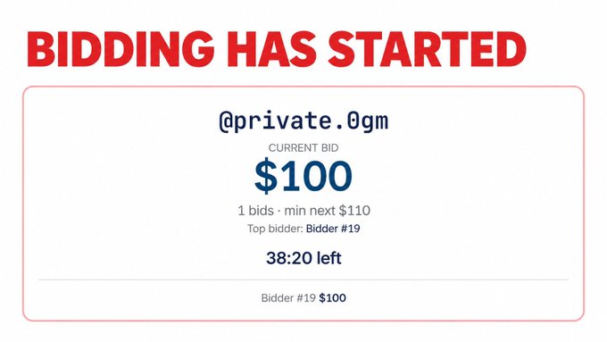 A bidding screen announces "BIDDING HAS STARTED" for @private.0gm with a current bid of $100, 38 minutes left, and Bidder #19 as the top bidder.