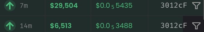 The image displays a crypto tracking dashboard showing two transactions for token "3012cF" with values of $29,504 and $6,513 at prices of $0.055435 and $0.053488 over 7-minute and 14-minute intervals, likely representing a meme coin trading activity that ties into the "woof, woof, $woof" post suggesting dog-themed crypto enthusiasm.