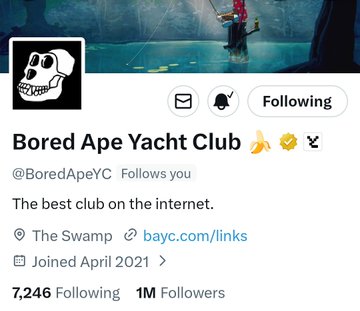 The image features a social media post about a Bored Ape Yacht Club. The post includes a photo of a person holding a fishing pole, with a caption that reads "Following @BoredApeYC is #MAYC". There are also several emojis in the post, including a banana and a thumbs up sign. The post seems to be promoting an event or gathering related to boats and yachts.