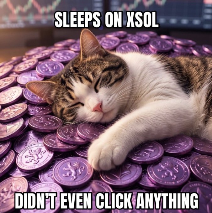 A meme showing a tabby and white kitten sleeping on a pile of purple XLM/XRP-style crypto coins with text reading 'SLEEPS ON XSOL' at the top and 'DIDN'T EVEN CLICK ANYTHING' at the bottom.