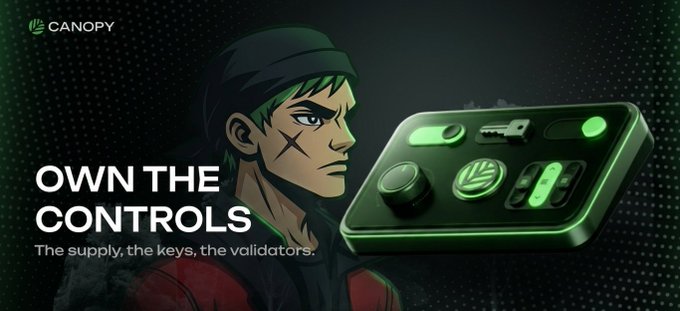 A promotional graphic for Canopy featuring an anime-style character and the slogan 'OWN THE CONTROLS - The supply, the keys, the validators.'