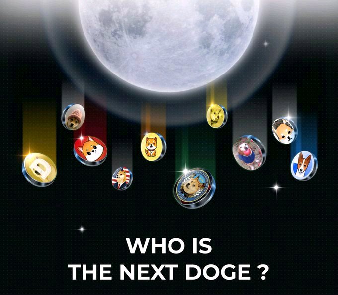 Against a cosmic backdrop featuring a glowing moon, various dog-themed cryptocurrency coin icons—including Doge, Shiba Inu, and others—float like pendants, with the text "WHO IS THE NEXT DOGE?" below them, posing the question of which canine-inspired memecoin will rise to fame next.