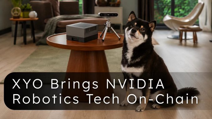 XYO promotional image featuring a black and white dog next to a table with NVIDIA robotics equipment, captioned 'XYO Brings NVIDIA Robotics Tech On-Chain.'