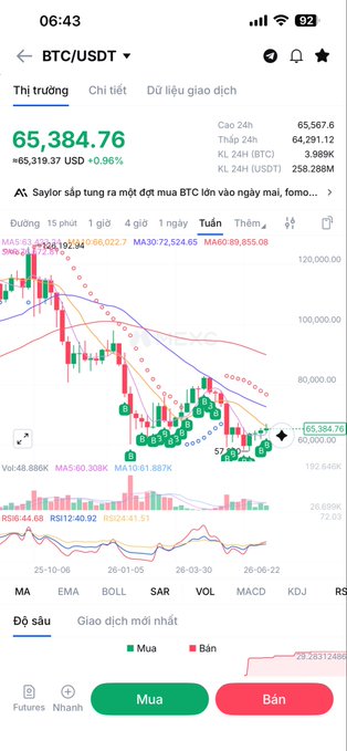 A mobile trading app screenshot showing the BTC/USDT market on Binance Futures, with a current price of 65,384.76 USD, up 0.96% in 24 hours, displayed on a daily candlestick chart.