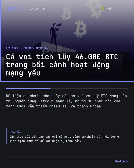 Vietnamese-language crypto news graphic with a Bitcoin illustration and the headline 'Cá voi tích lũy 46.000 BTC trong bối cảnh hoạt động mạng yếu,' discussing on-chain data showing whales and ETF funds absorbing Bitcoin supply despite weak network recovery.
